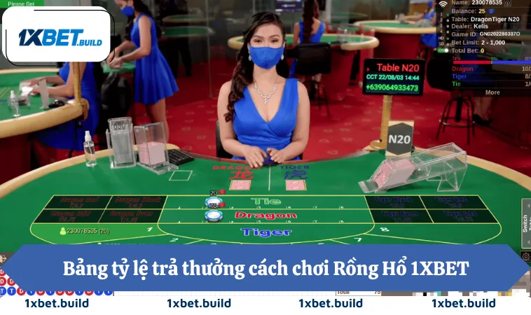 Bảng tỷ lệ trả thưởng cách chơi Rồng Hổ 1XBET