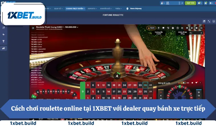 Cách Chơi Roulette Hiệu Quả Nhất 2025 Theo Chuyên Gia 2 Cách chơi roulette online tại 1XBET với dealer quay bánh xe trực tiếp