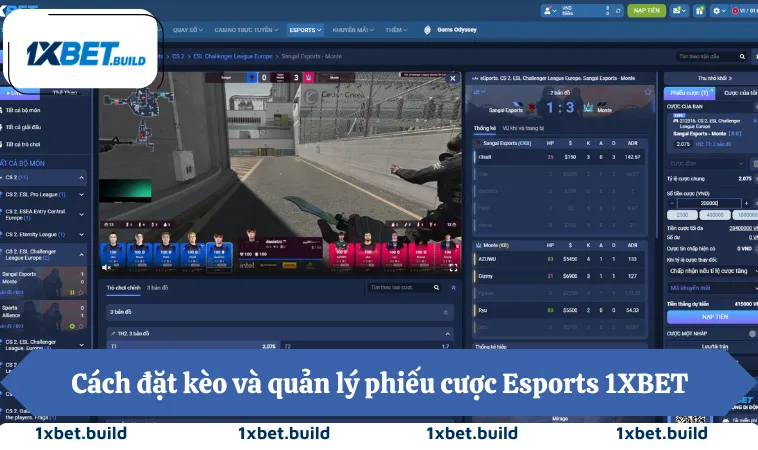 Esports 1XBET 3 Cách đặt kèo và quản lý phiếu cược Esports 1XBET