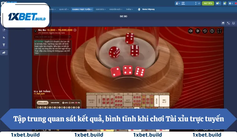 Tập trung quan sát kết quả, bình tĩnh khi chơi Tài xỉu trực tuyến